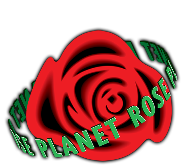 Planet Rose
